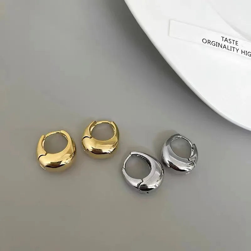 Fashion Chunky Hoop Earrings for Women Smooth Metal Girls Round Circle Statement Earring 2023 Punk Jewelry Gifts серьги женские