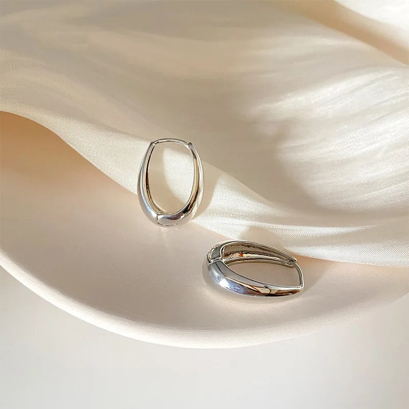 Fashion Chunky Hoop Earrings for Women Smooth Metal Girls Round Circle Statement Earring 2023 Punk Jewelry Gifts серьги женские