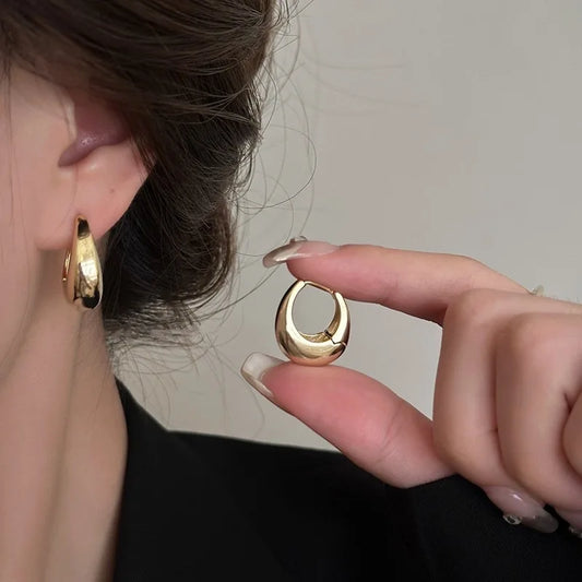 Fashion Chunky Hoop Earrings for Women Smooth Metal Girls Round Circle Statement Earring 2023 Punk Jewelry Gifts серьги женские
